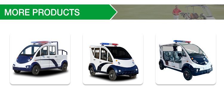 Electric Patrol Car detail