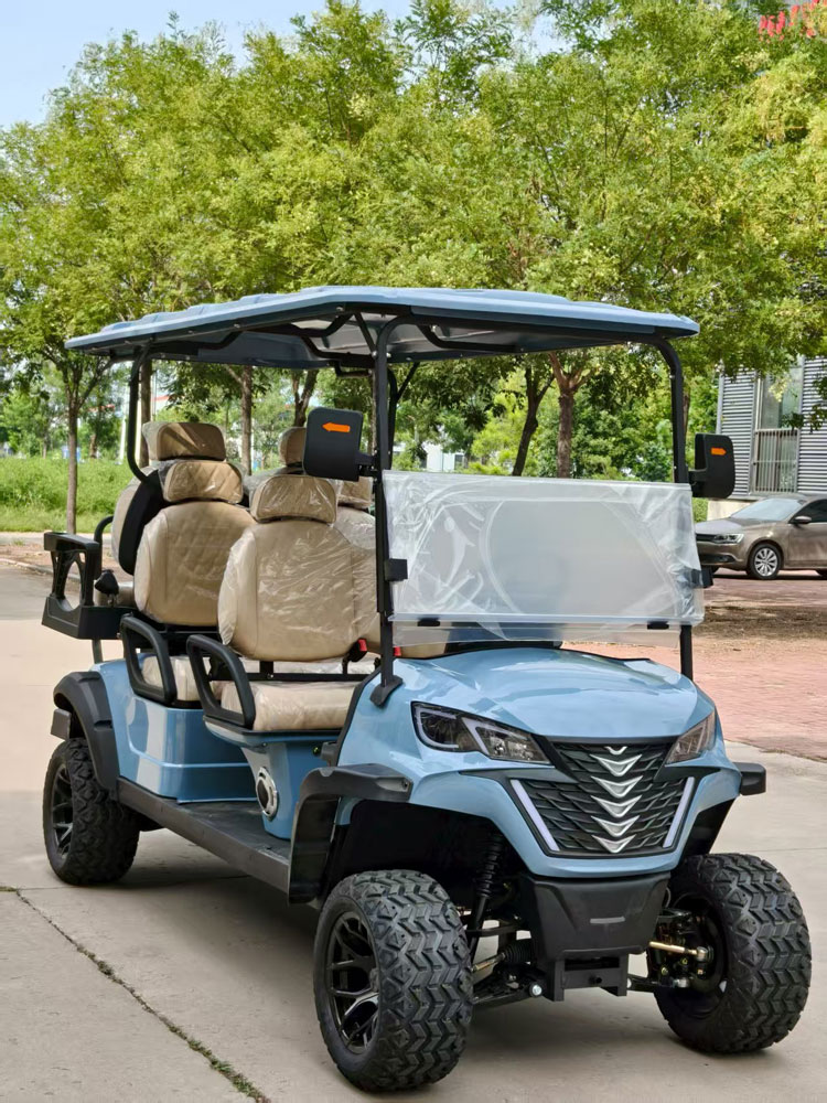 2+4 seaters golf cart